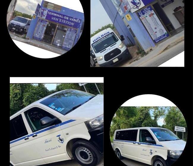 فندق Holbox Chiquila Playa Del Carmen Callective Service