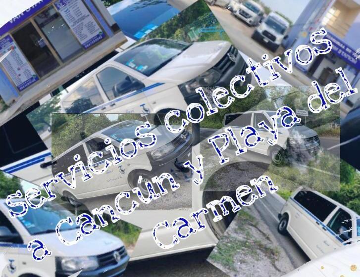 فندق Holbox Chiquila Playa Del Carmen Callective Service