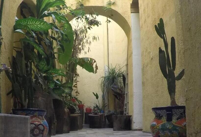 هتل Hospedaje La Mexicana