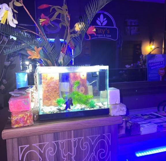 Отель Maximum Hamam Spa