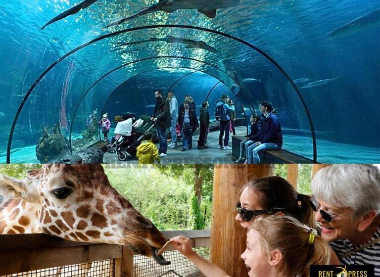 هتل Near Us Embassy X Free Unlimited Pool, Massage & Sauna Access X Promo This Month! Explore Deluxe Stu