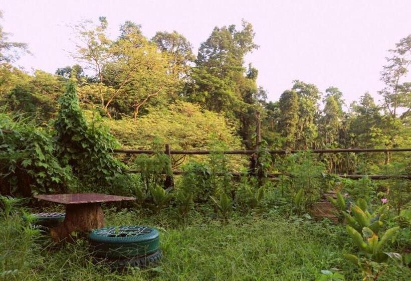 Отель Petrichor Farms