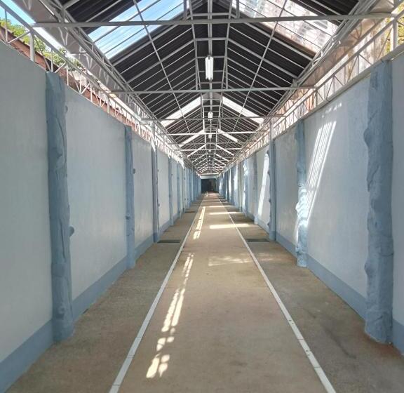 호텔 Playa Alba Beach Front And Resort