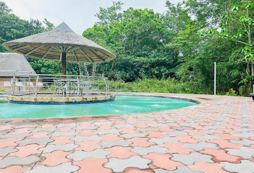 בית מלון כפרי The Galaxy Forest Lodge