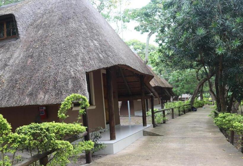 בית מלון כפרי The Galaxy Forest Lodge