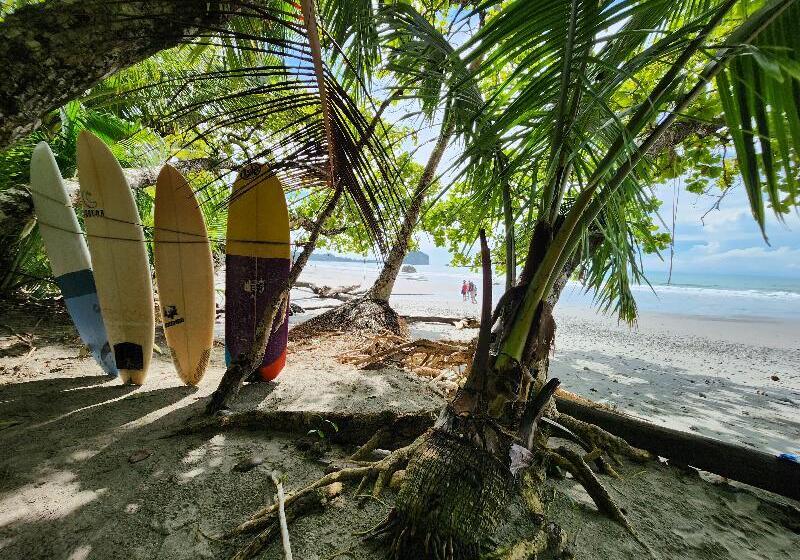 בית מלון כפרי Vos