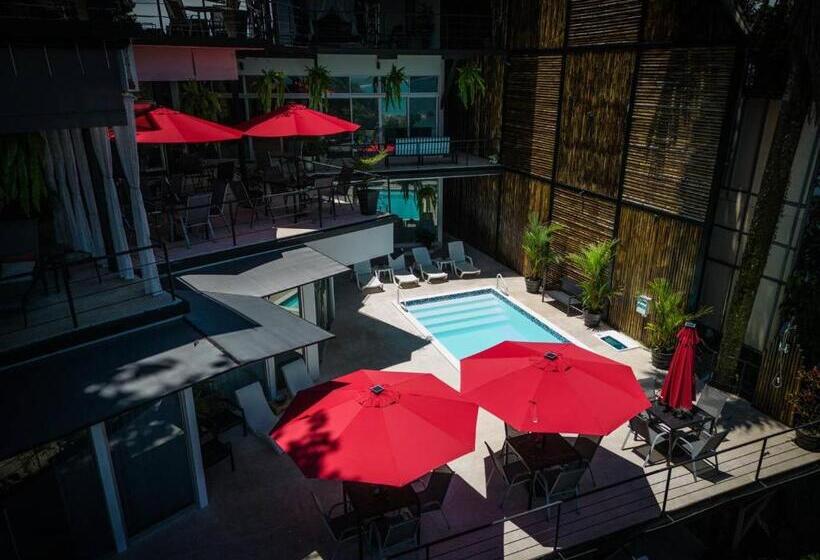 בית מלון כפרי Vos