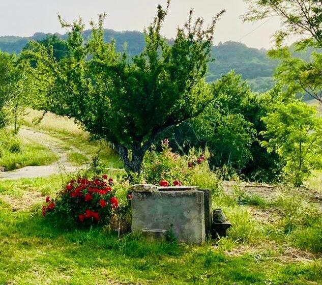 I 3 Falchi Bed & Breakfast