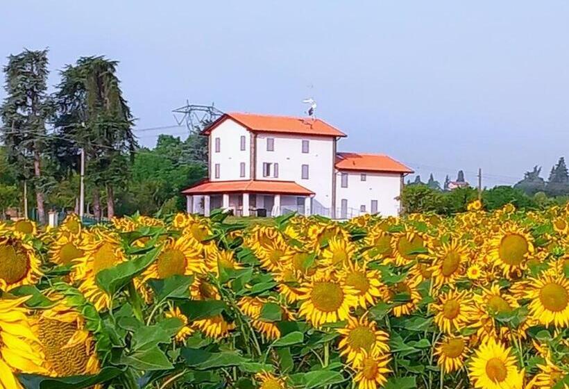 La Collinetta B&b