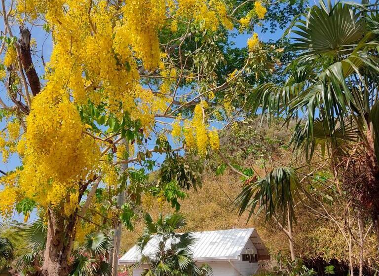 펜션 Animal Paradise