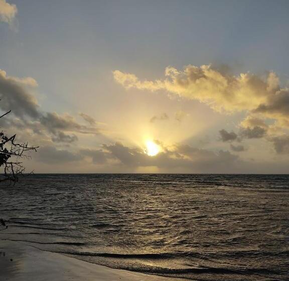 펜션 Animal Paradise