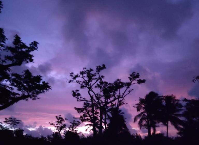 펜션 Animal Paradise