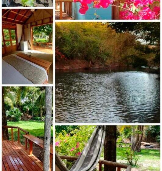 펜션 Animal Paradise