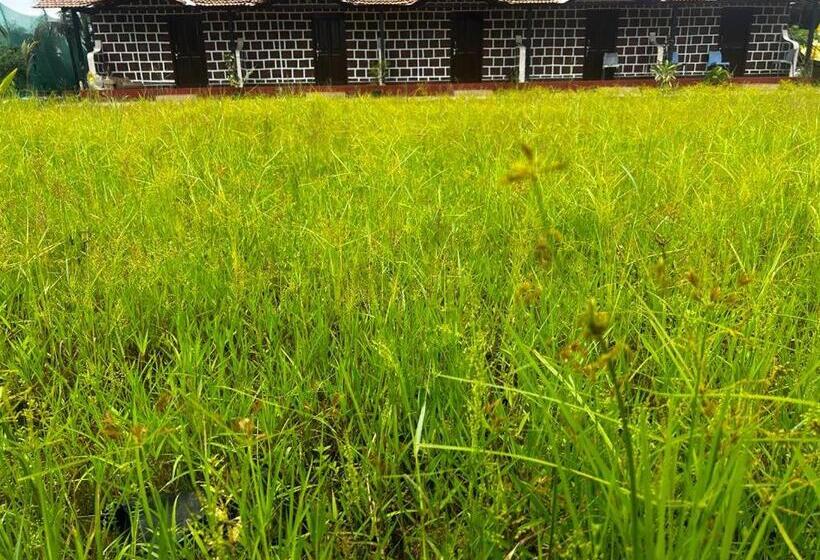 펜션 Comfy Cottages In Saligao