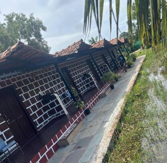 פנסיון Comfy Cottages In Saligao