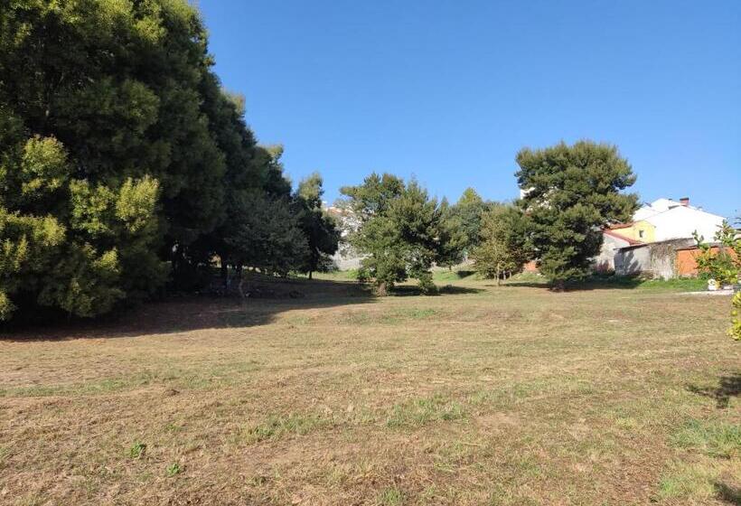 پانسیون Douro Ecostudio