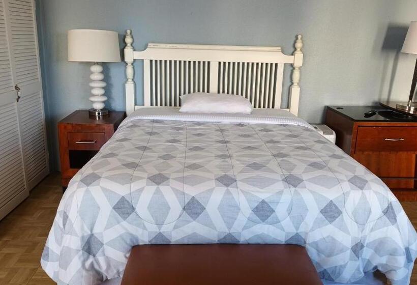 Pensjonat Elegant Suite