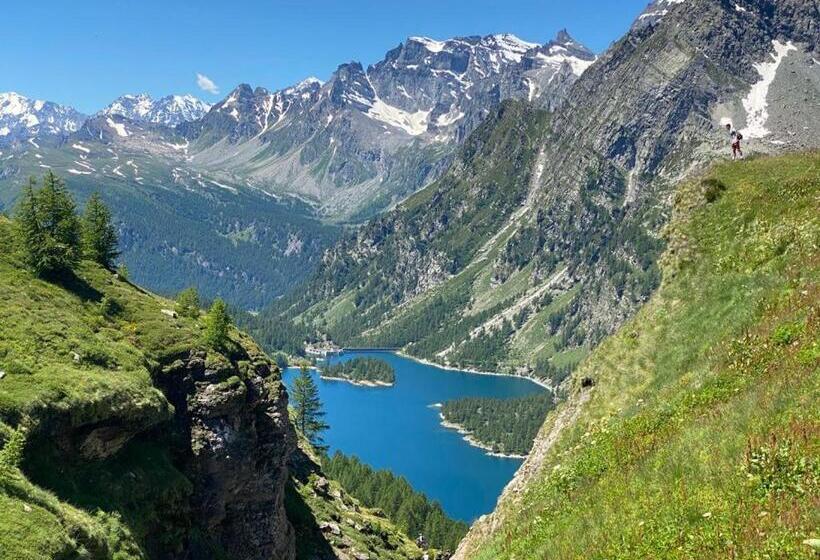 פנסיון Gelsomino House