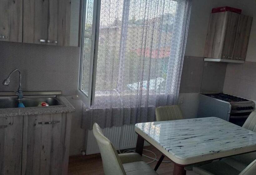 پانسیون Guest House Lile