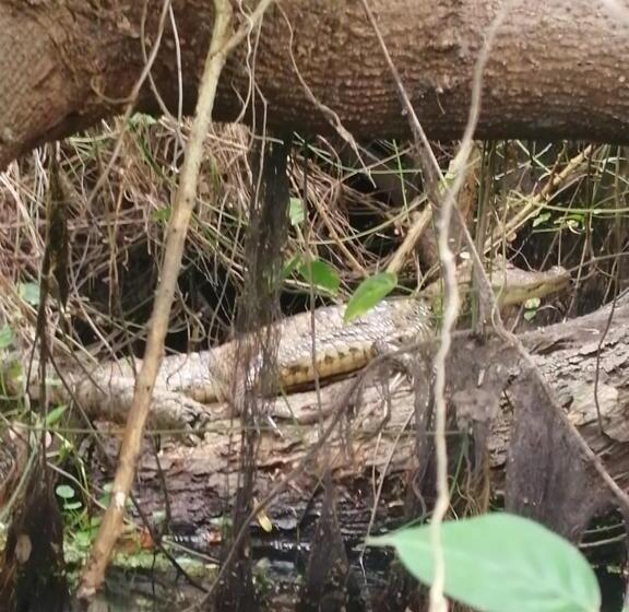 פנסיון Playa Peru Guest House