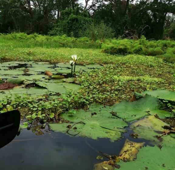 פנסיון Playa Peru Guest House