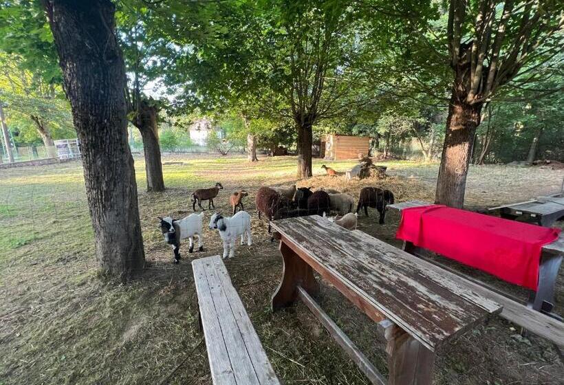 Пансион Villa Berolina