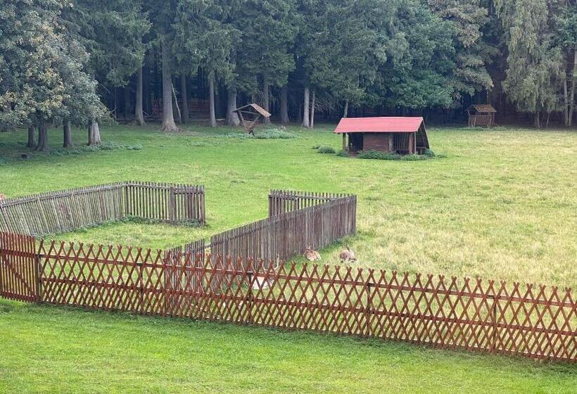 Пансион Villa Berolina