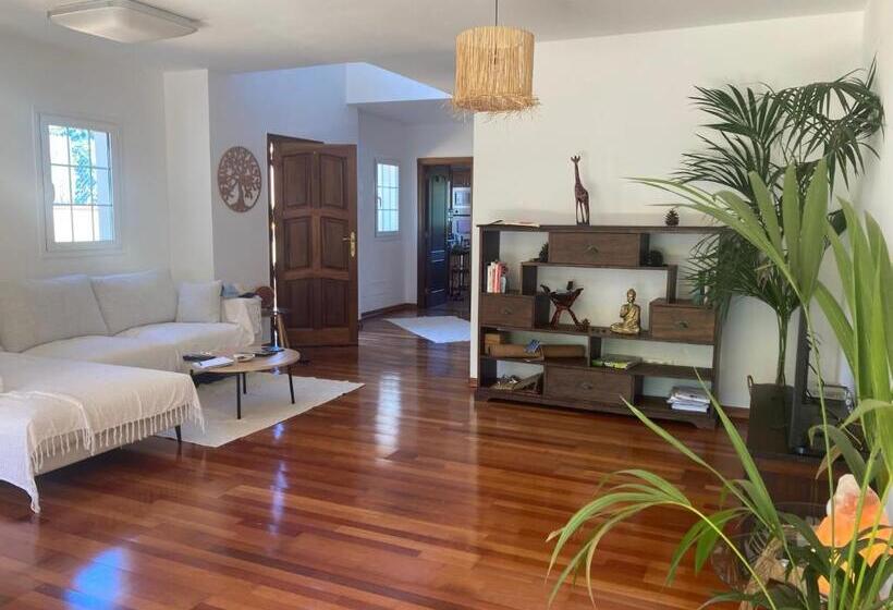 Пансион Xanadu Coliving