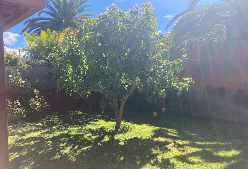 Пансион Xanadu Coliving