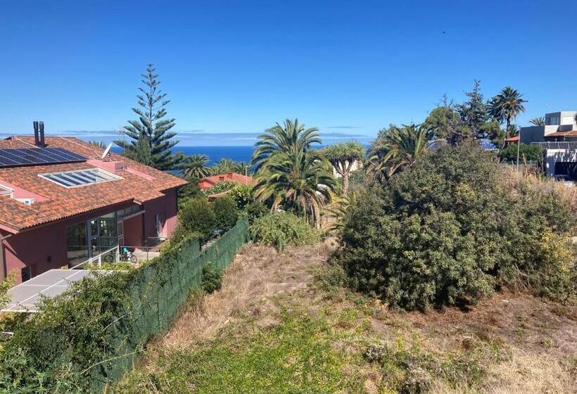 Пансион Xanadu Coliving