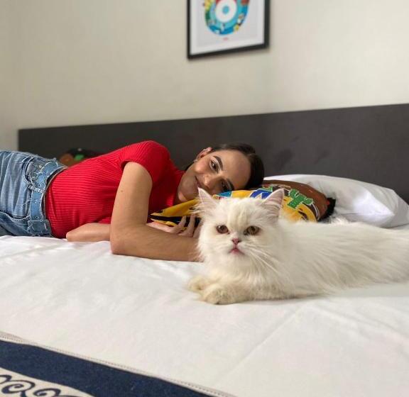 Pousada Dos Artistas