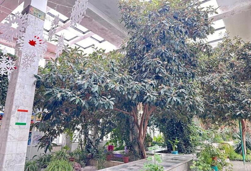 استراحتگاه санаторий кыргызское взморье