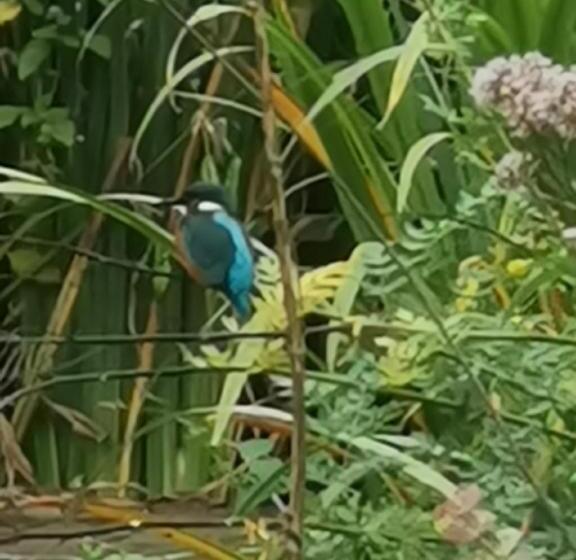 Scrab&ble Ecologische Gastenkamers