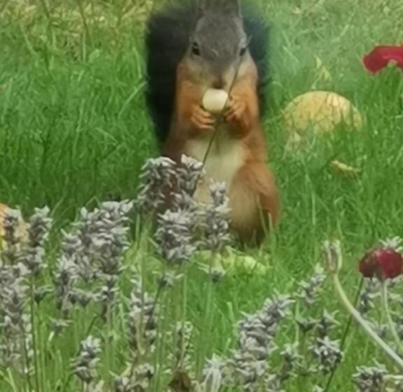 Scrab&ble Ecologische Gastenkamers