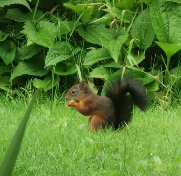 Scrab&ble Ecologische Gastenkamers