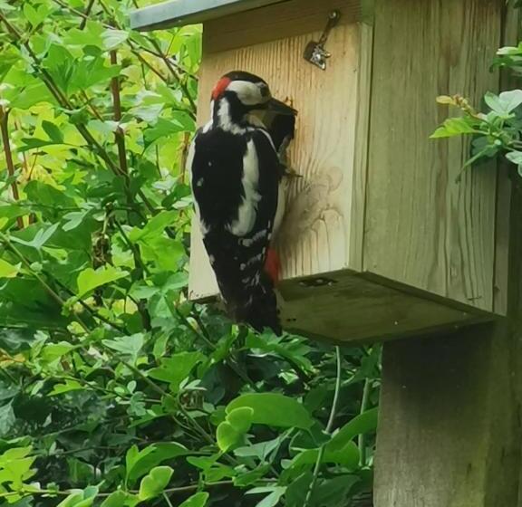 Scrab&ble Ecologische Gastenkamers