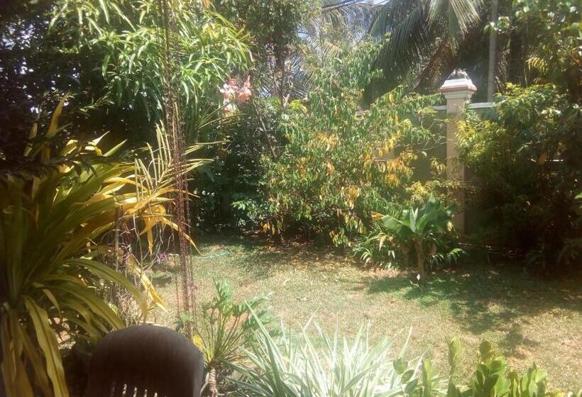 Waja Bed And Breakfast