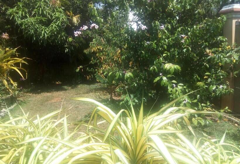 Waja Bed And Breakfast