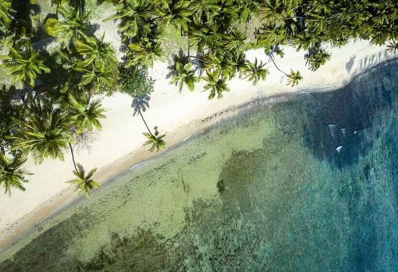 Waya Island Resort   Adults Only