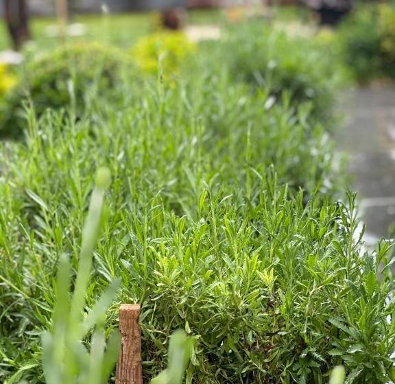 Your House Apart Otel