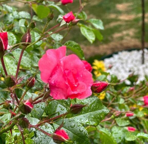 Your House Apart Otel