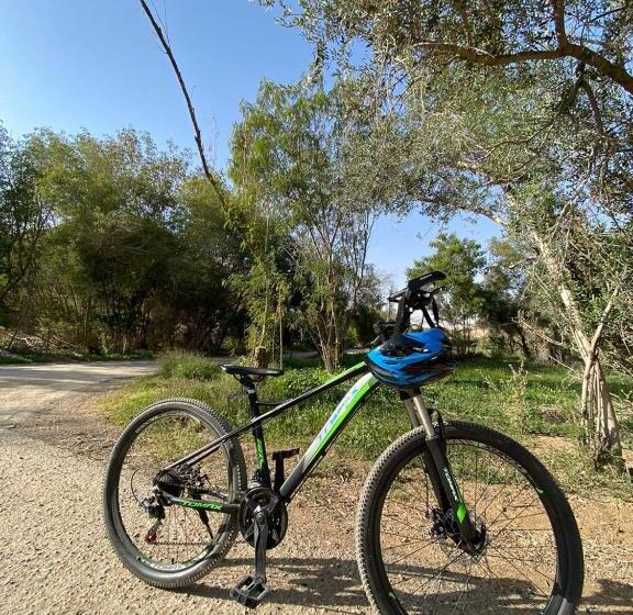 منتجع جلامبنغ   Glamping Resort