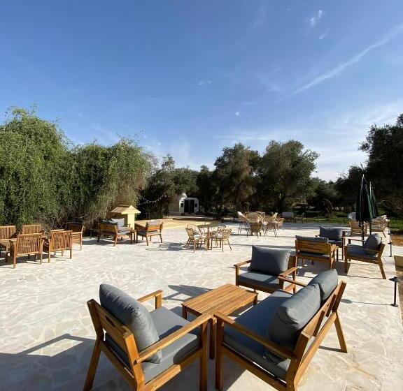منتجع جلامبنغ   Glamping Resort