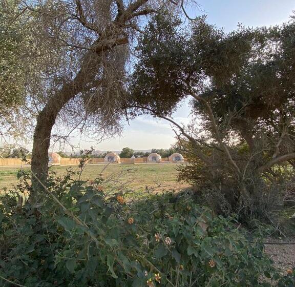 منتجع جلامبنغ   Glamping Resort