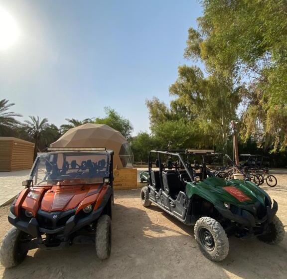 منتجع جلامبنغ   Glamping Resort