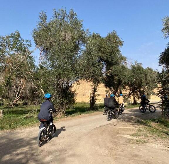 منتجع جلامبنغ   Glamping Resort