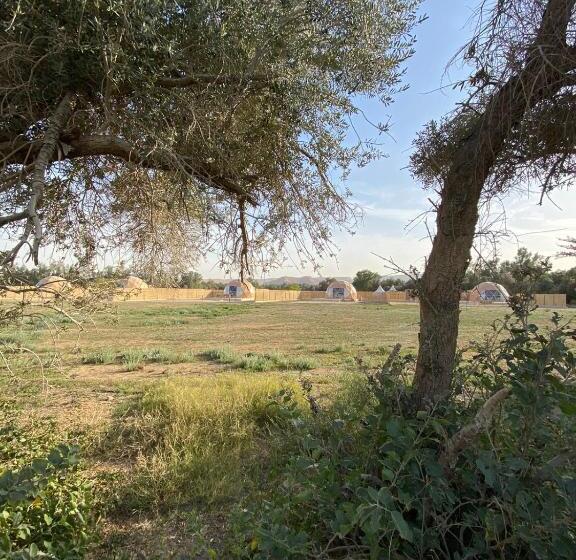 منتجع جلامبنغ   Glamping Resort