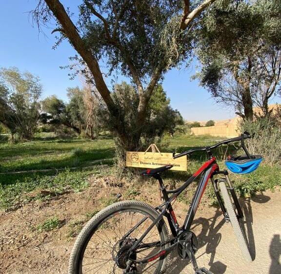 منتجع جلامبنغ   Glamping Resort