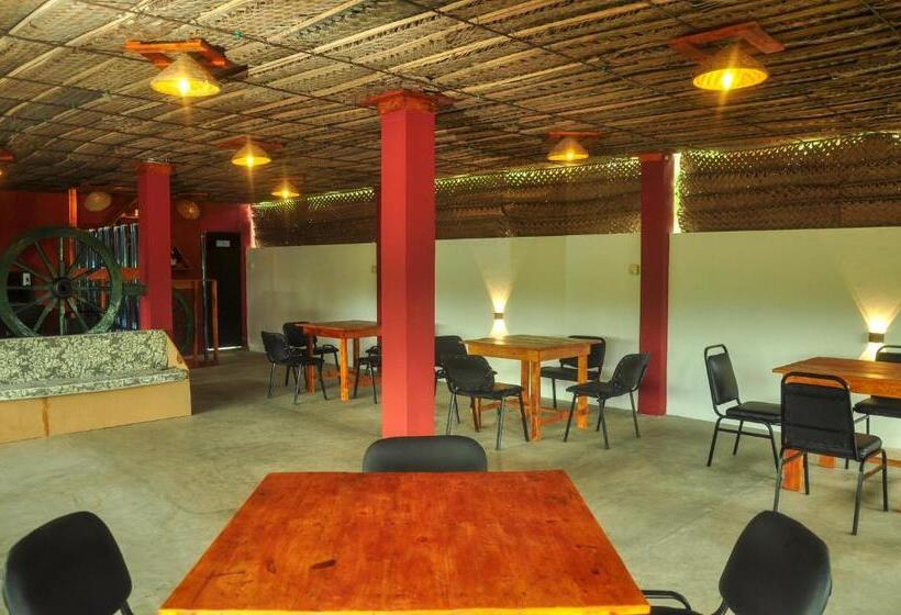 Общежитие Airport Tourist Resort