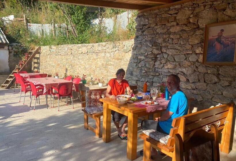 هاستل Guest House Bozvill